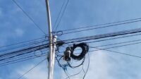 02.12.kabel