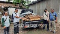22.01.kayu