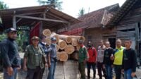 3.2.curi.kayu