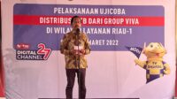 28.3.distribussi