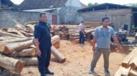 7.4.kayu