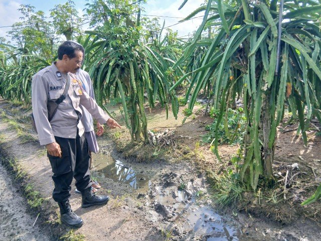 IMG-20250920-WA0018_copy_640x480