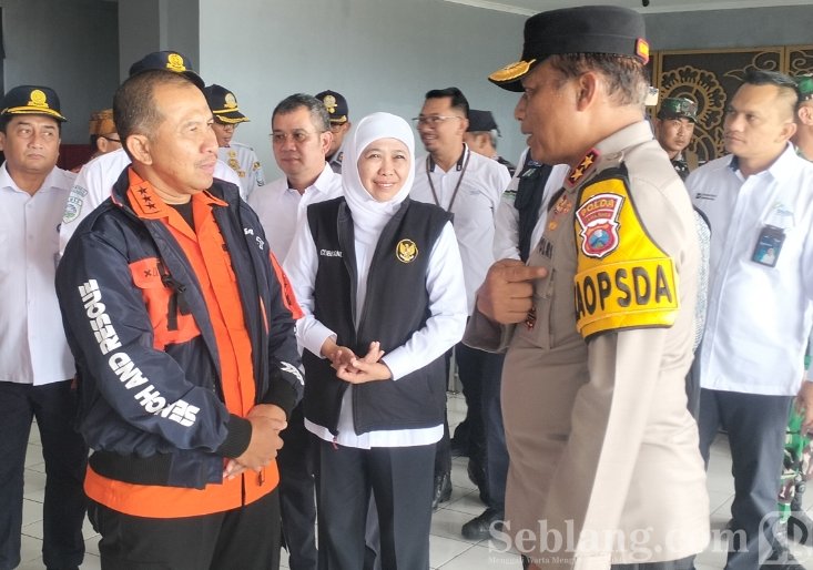 IMG_20251229_153935_copy_734x514