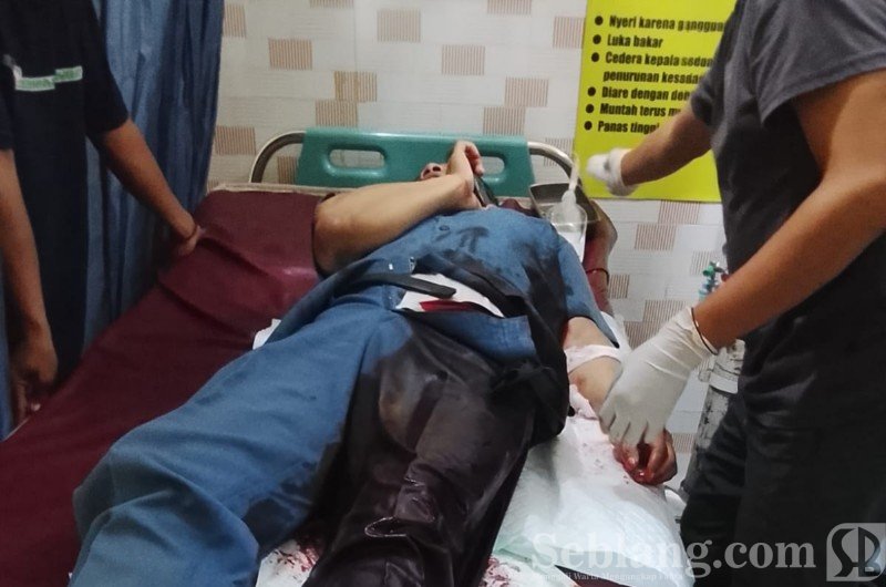 IMG_20260127_222456_copy_800x530