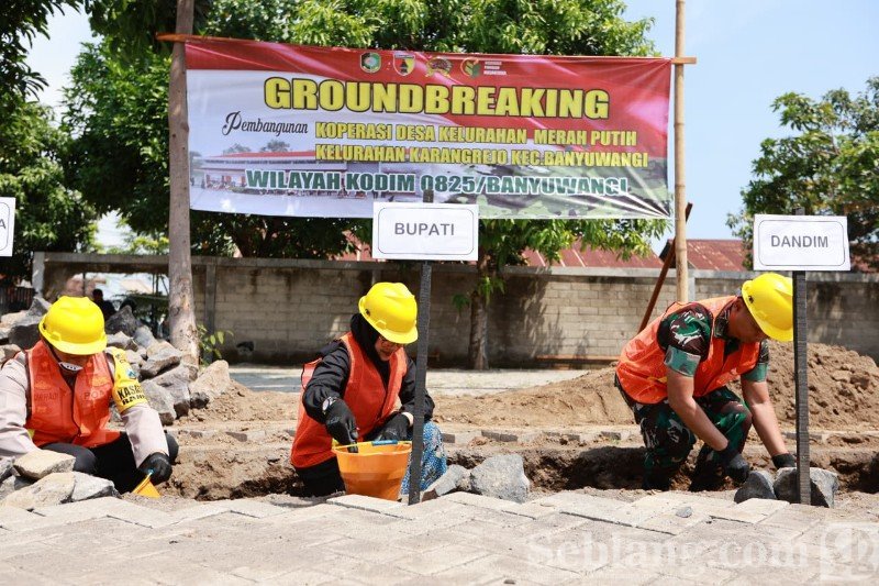 ndwolitgis_whatsapp-image-2026-01-02-at-193747_copy_800x533