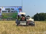 16.7.panen
