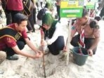 30.7.mangrove2